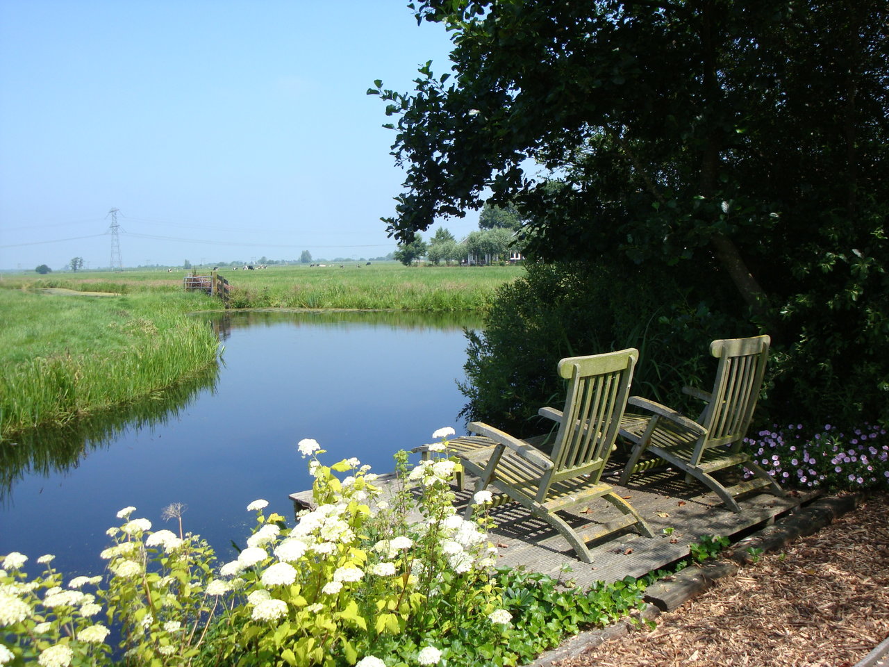 Brasserie de Steinsetuin in Haastrecht Eet.nu